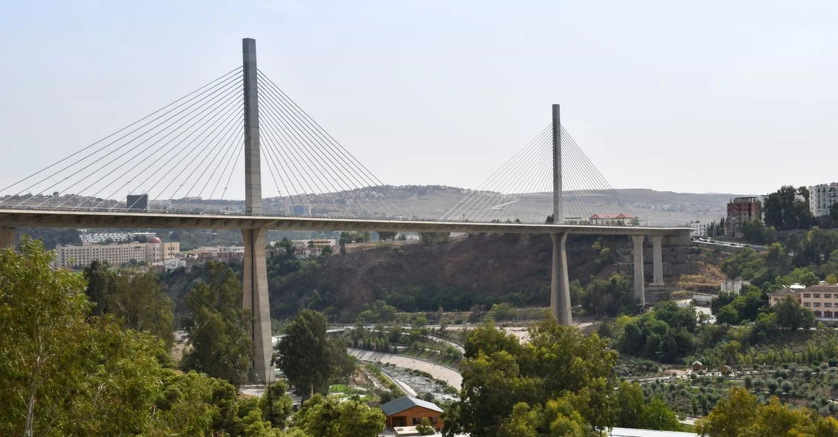 Algeria Passport Visa Requirements and Global Mobility Guide