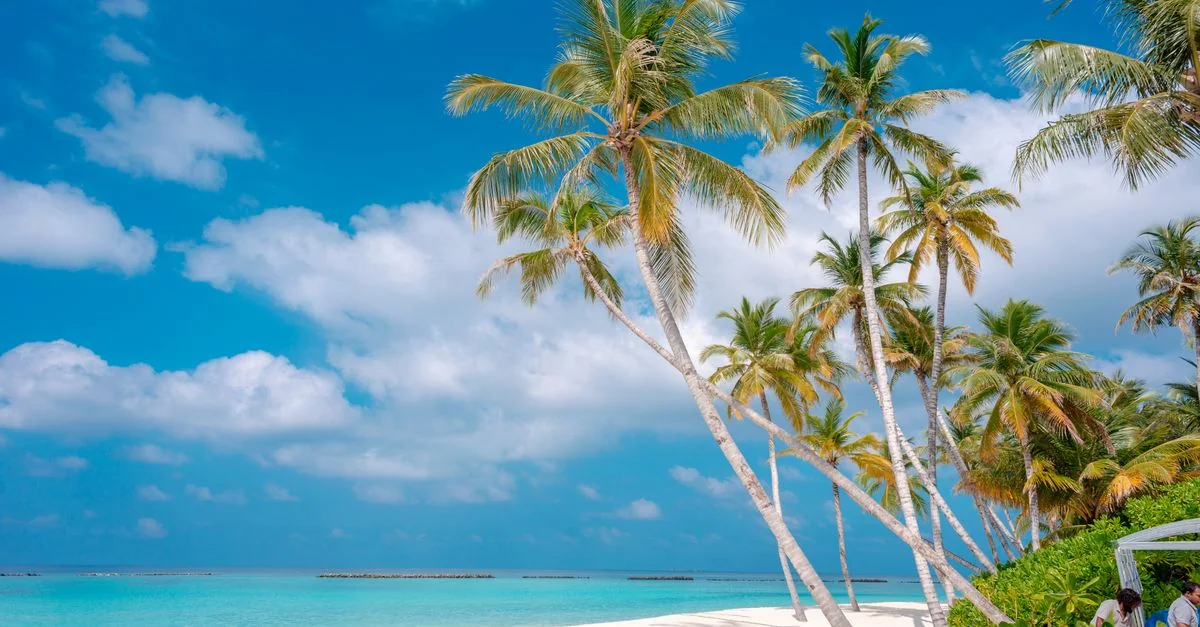 Comprehensive Visa Requirements Guide for the Bahamas Passport