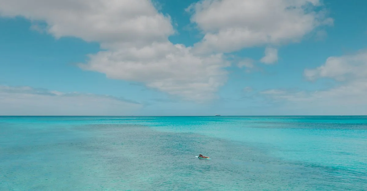 Comprehensive Visa Requirements Guide for the Bahamas Passport