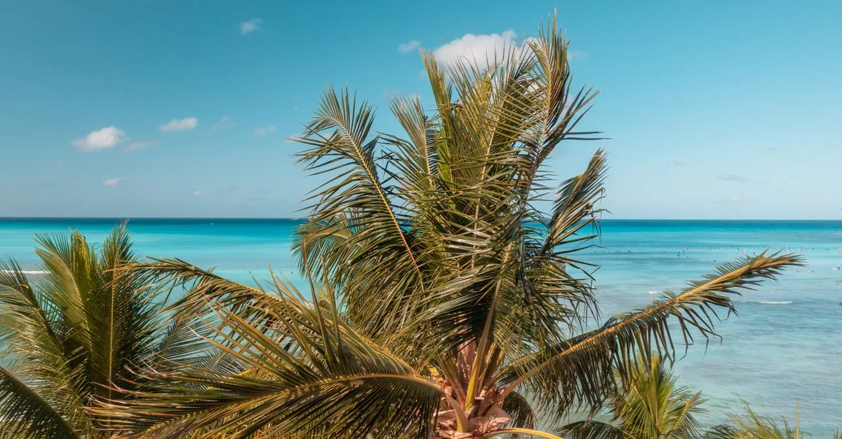 Comprehensive Visa Requirements Guide for the Barbados Passport