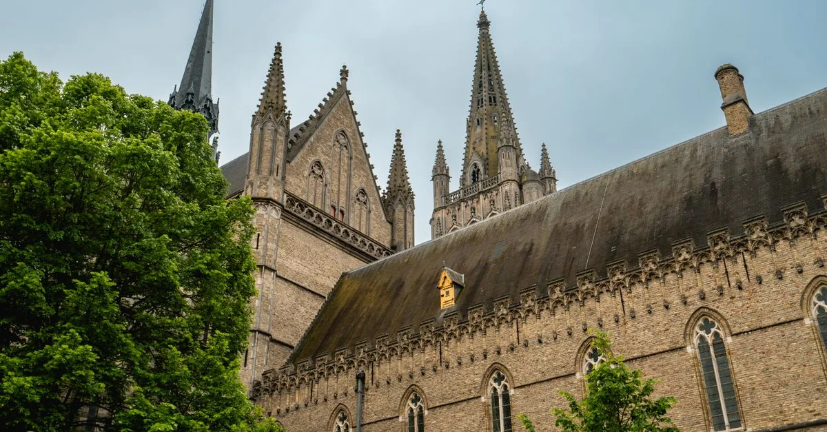 Visa Requirements Guide for the Belgium Passport