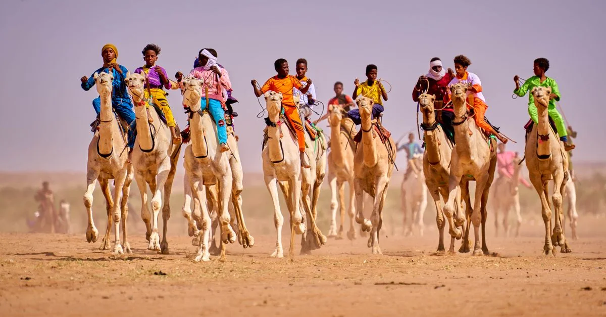 Visa Requirements and Travel Access for the Chad Passport