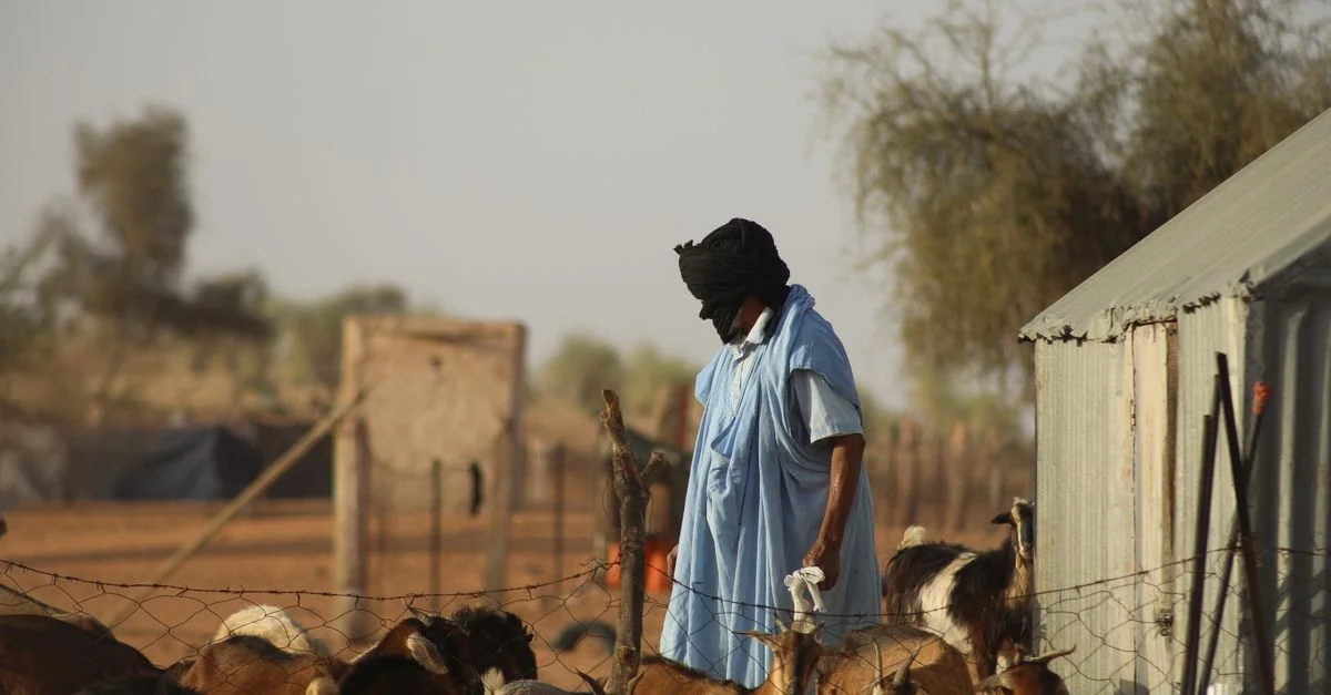 Visa Requirements and Travel Access for the Chad Passport