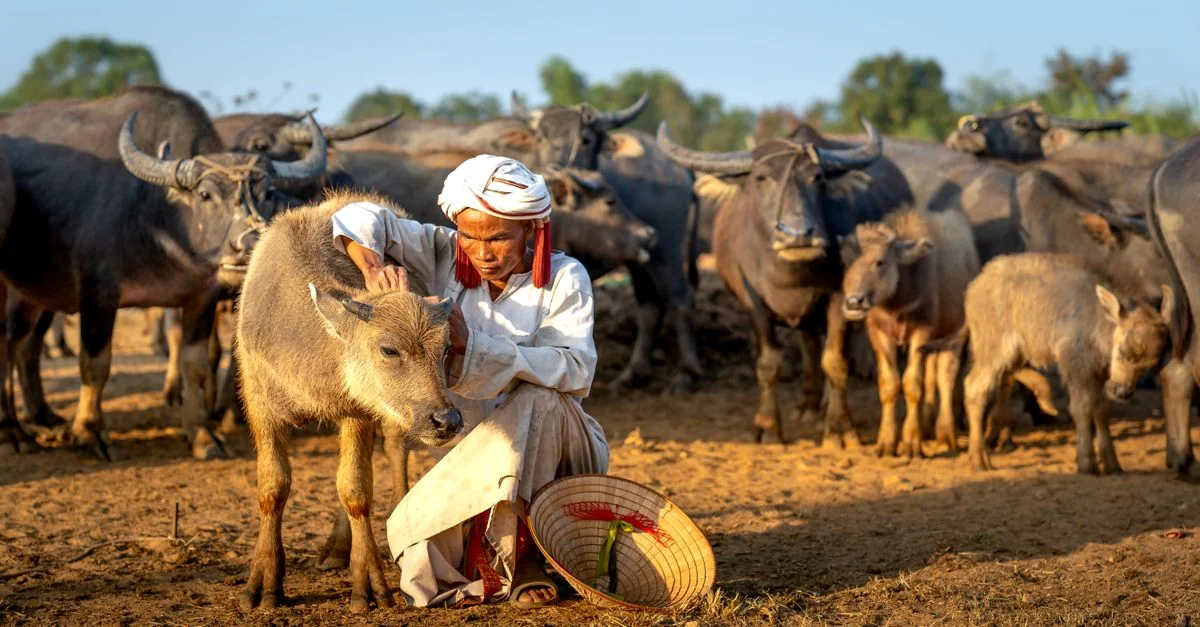 Visa Requirements and Travel Access for the Chad Passport