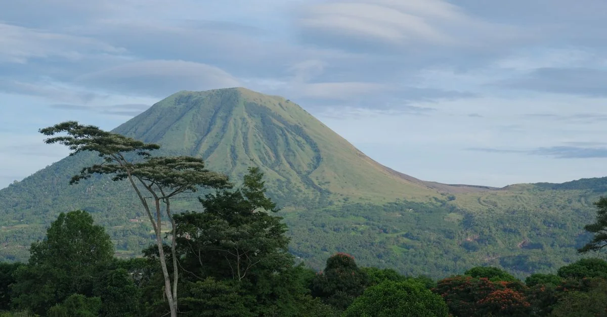 Visa Requirements and Travel Access for the Congo Passport