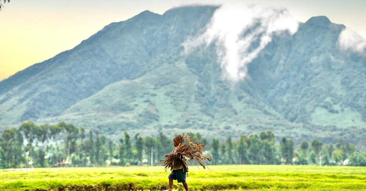 Visa Requirements and Travel Access for the Congo Passport
