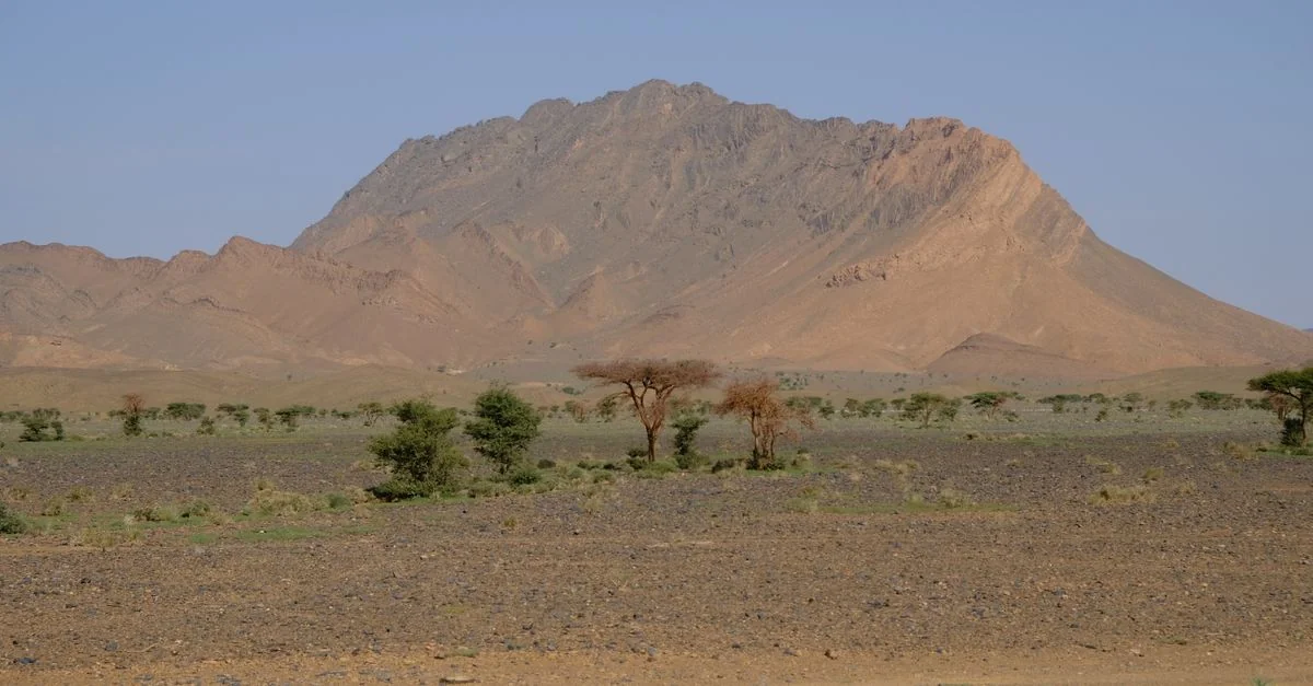 Djibouti Passport Visa Requirements and Travel Access Guide