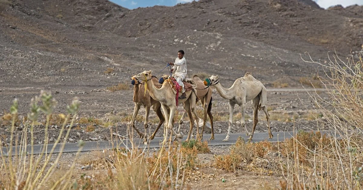 Djibouti Passport Visa Requirements and Travel Access Guide