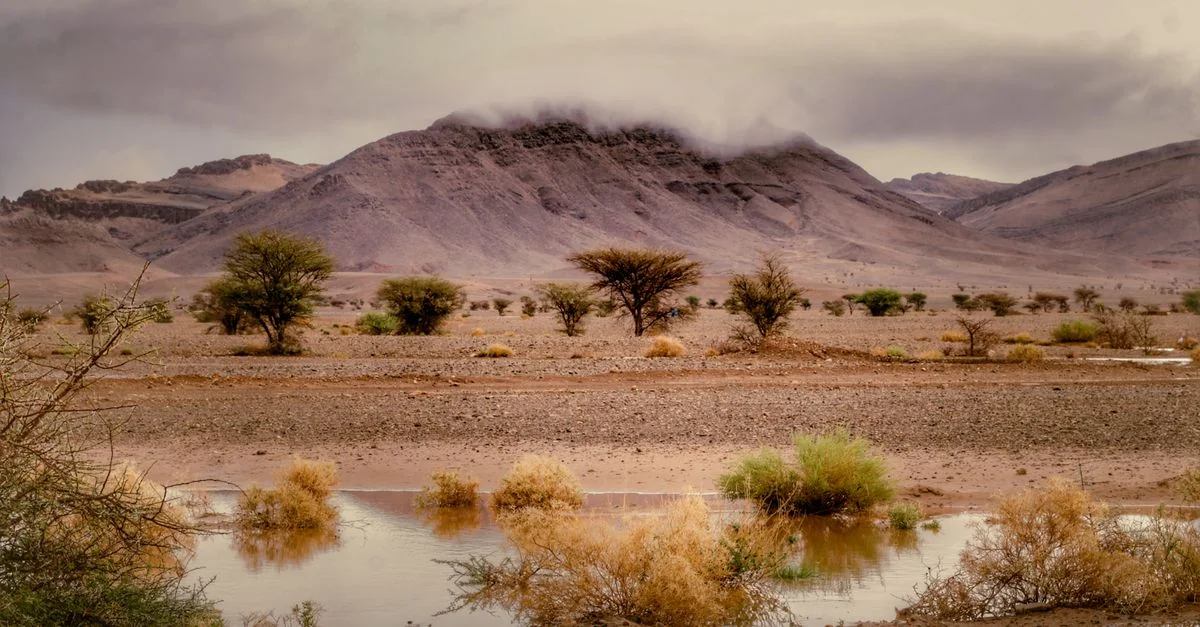 Djibouti Passport Visa Requirements and Travel Access Guide