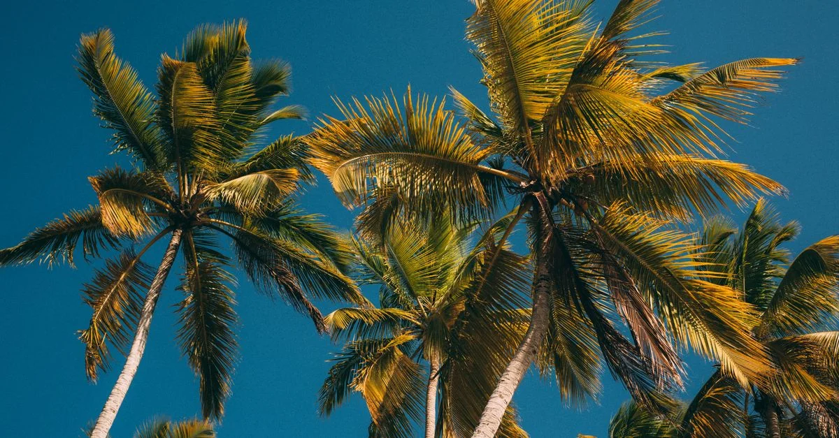 Visa Requirements and Travel Freedom for Dominican Republic Passport Holders