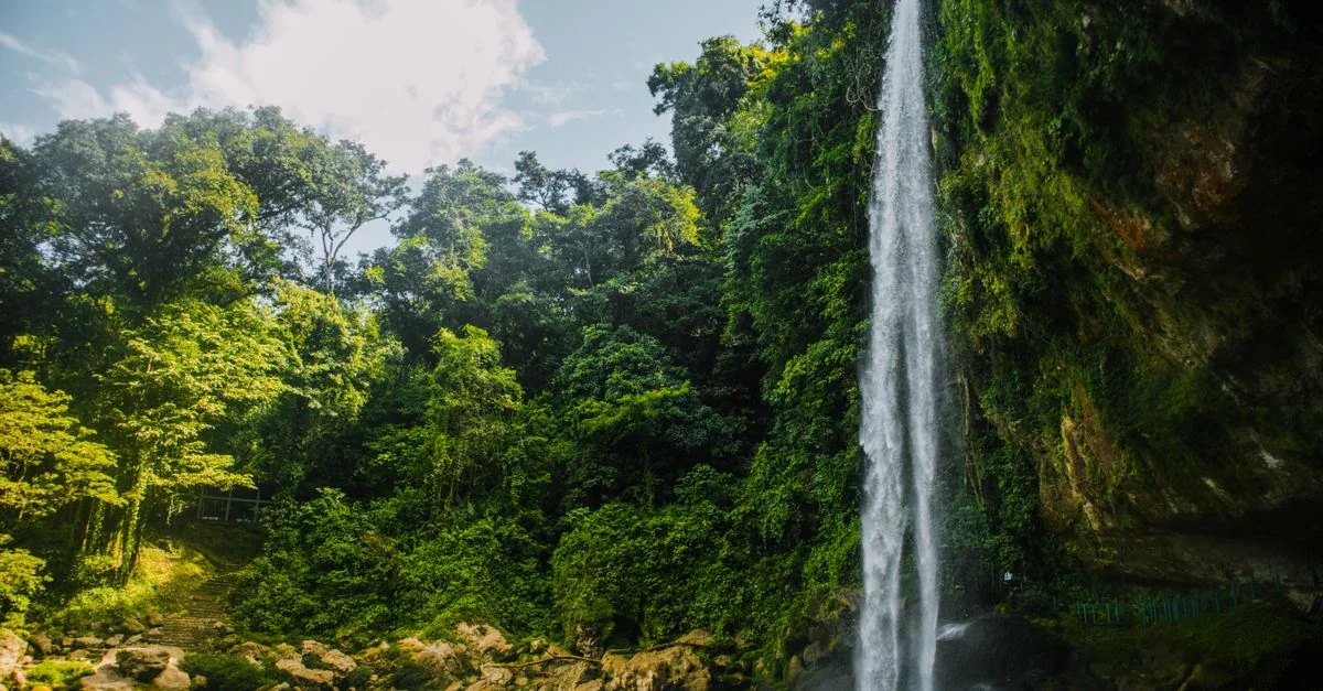Equatorial Guinea Passport Visa Requirements Guide