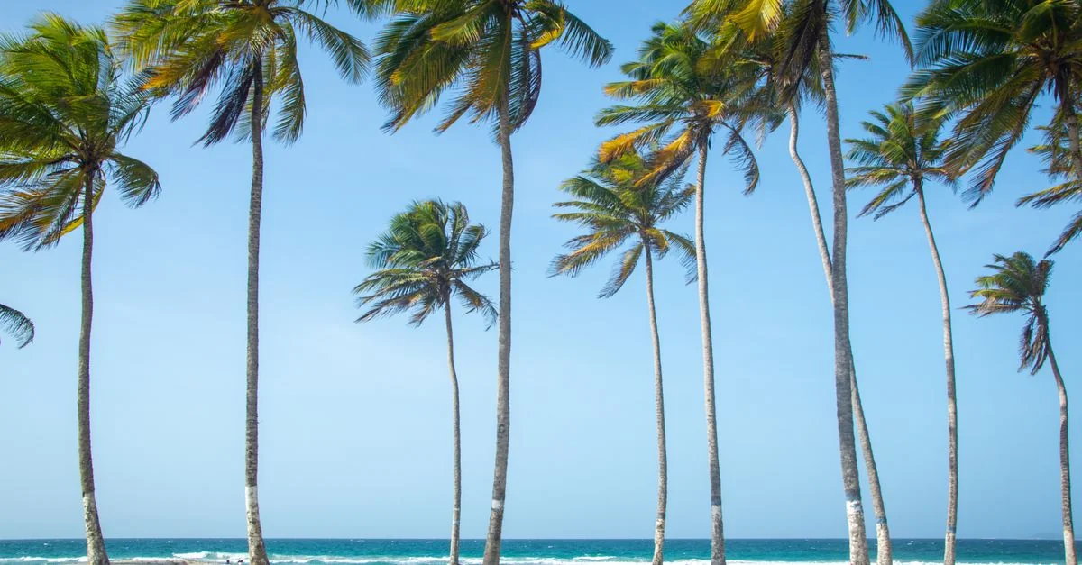 Equatorial Guinea Passport Visa Requirements Guide
