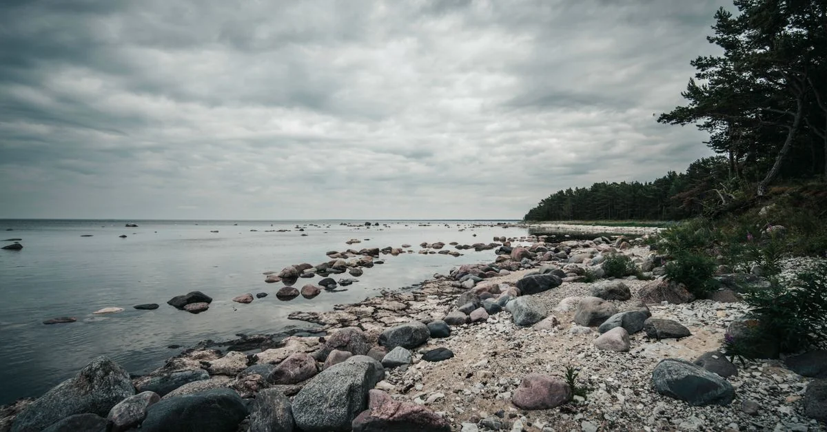 Comprehensive Visa Requirements Guide for Estonia Passport Holders