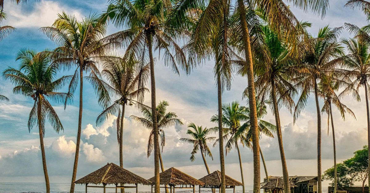 Navigating the World with a Gabon Passport: A Complete Visa Guide