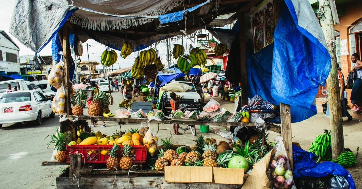 Navigating the World with a Gabon Passport: A Complete Visa Guide