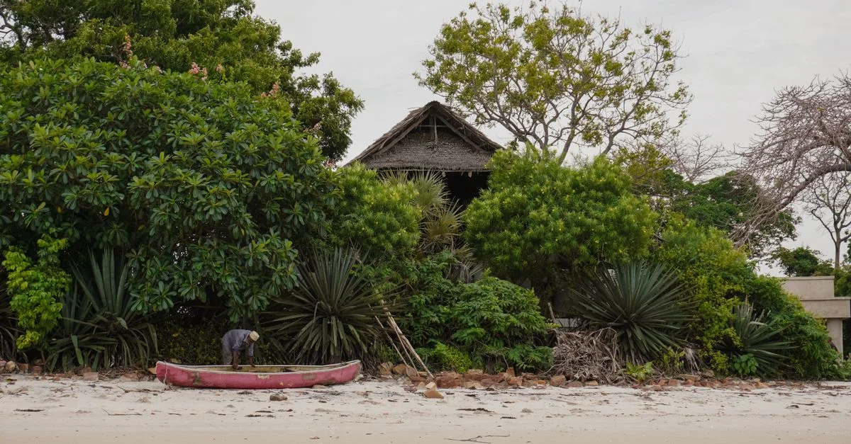 Gambia Passport: A Gateway to Global Exploration