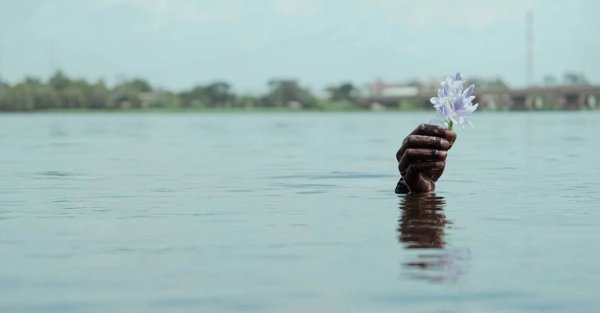 Ghana Passport: Exploring the World with Ease