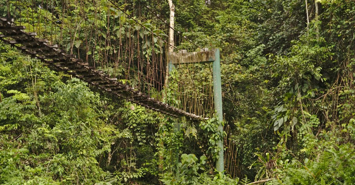 Guyana Passport: A Gateway to Global Travel
