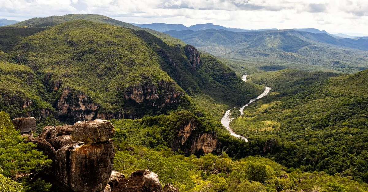 Guyana Passport: A Gateway to Global Travel
