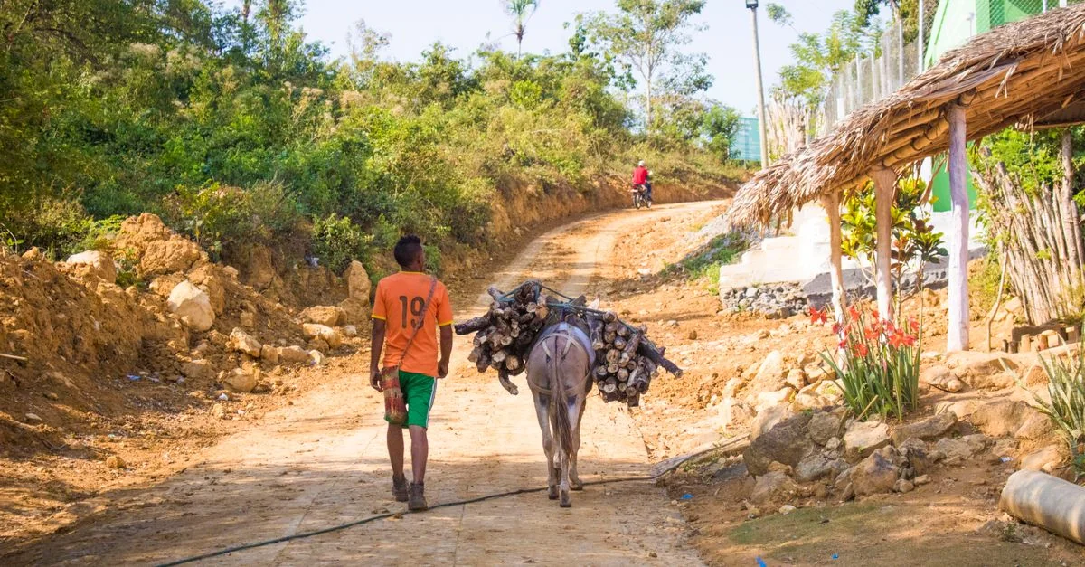 Haiti Passport: A Guide to Travel Freedom