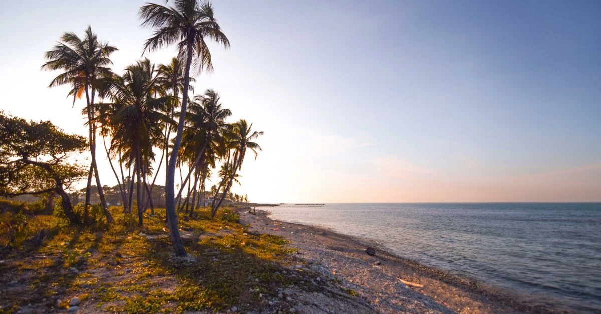 Haiti Passport: A Guide to Travel Freedom