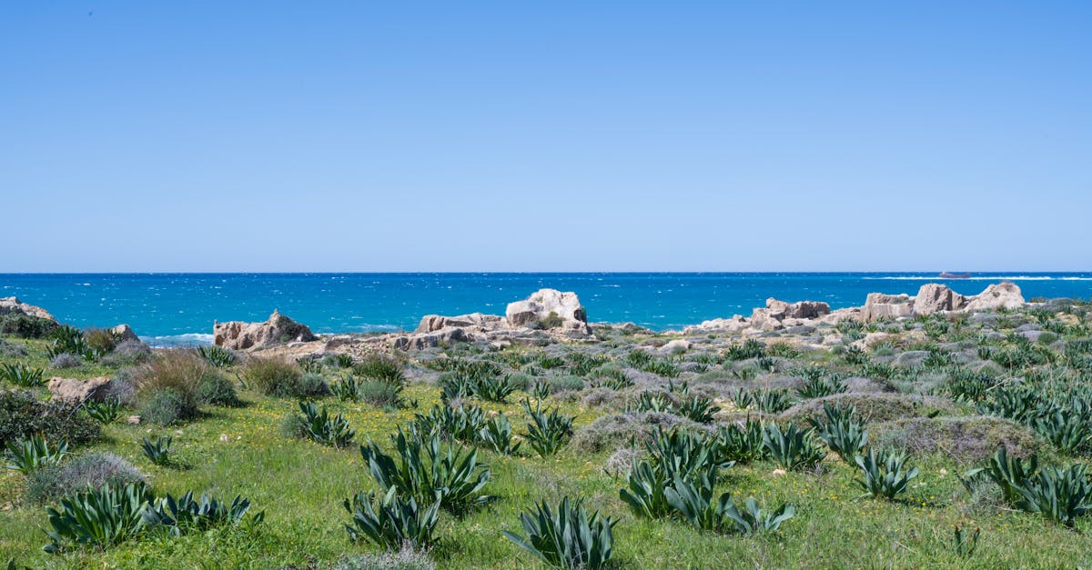visa-policy-cyprus