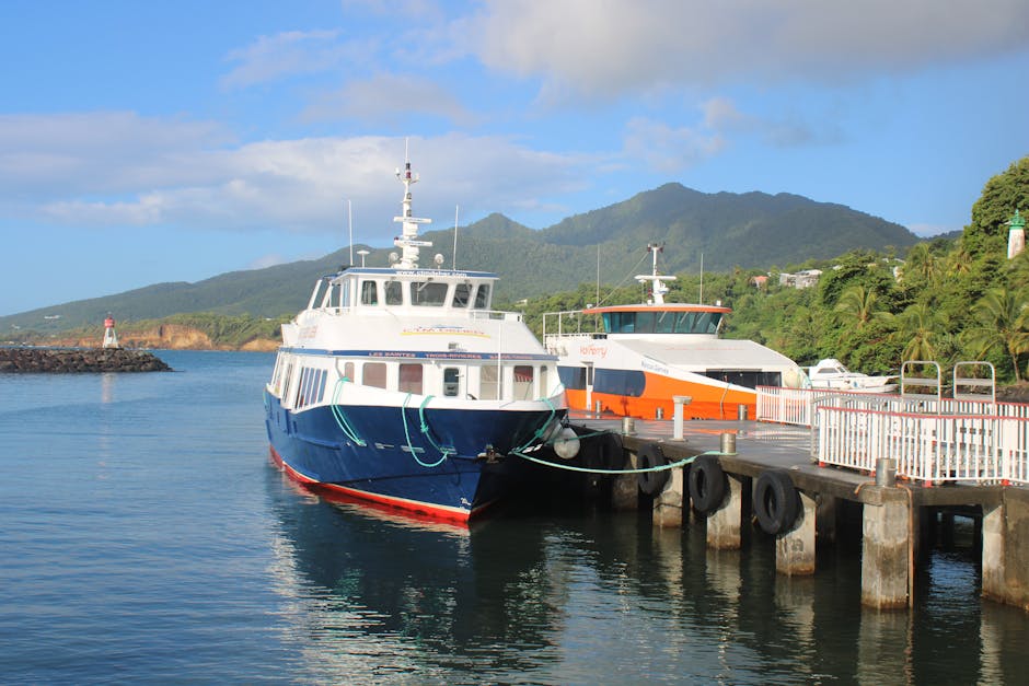 visa-policy-dominica