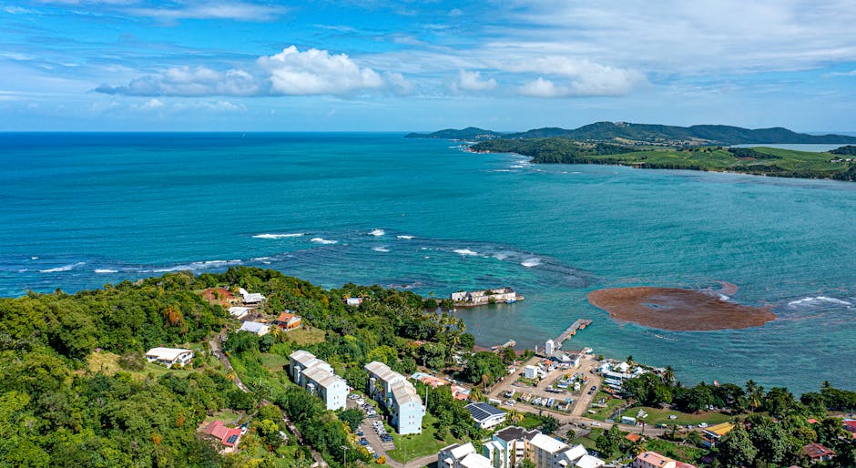 visa-policy-dominica