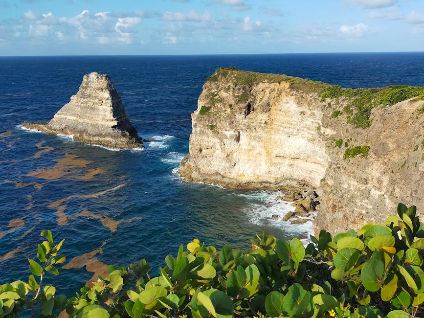 visa-policy-dominica