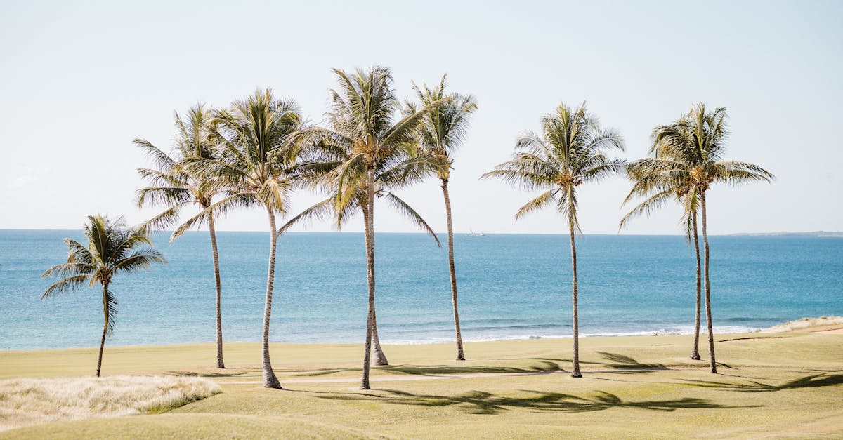 visa-policy-dominican-republic