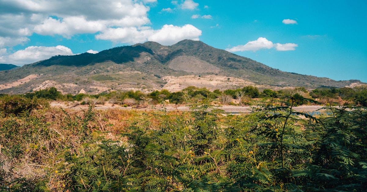 visa-policy-el-salvador