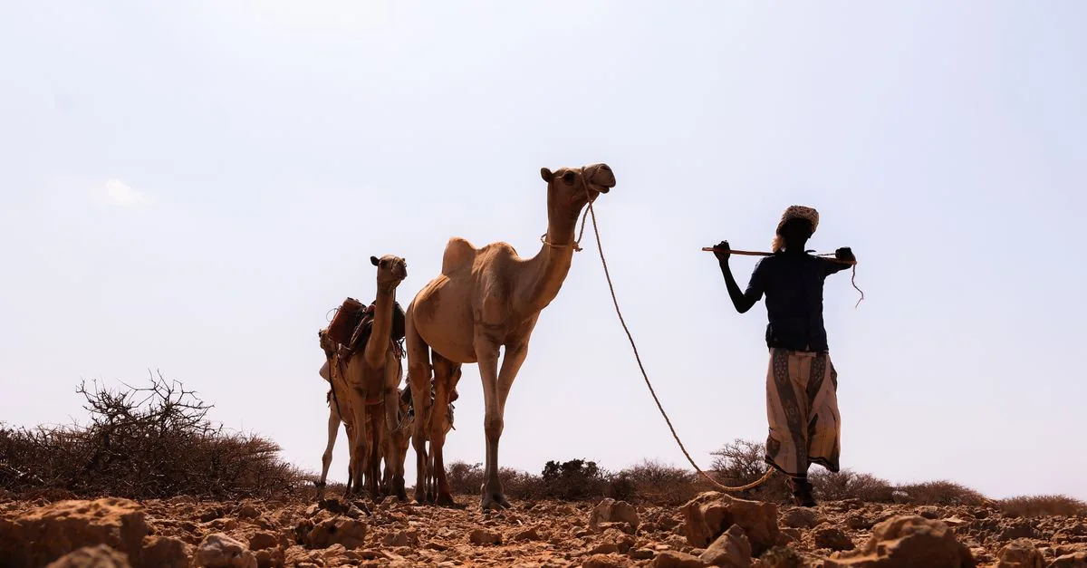 Somalia Visa Policy and Entry Requirements Guide