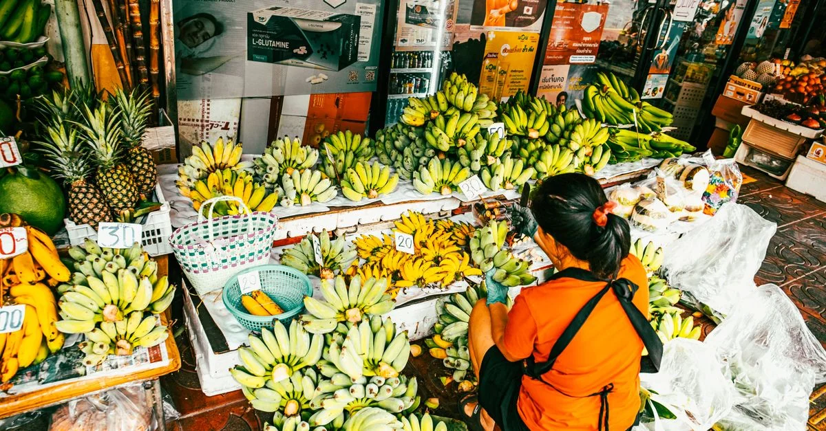 Thailand Visa Policy and Entry Requirements Guide