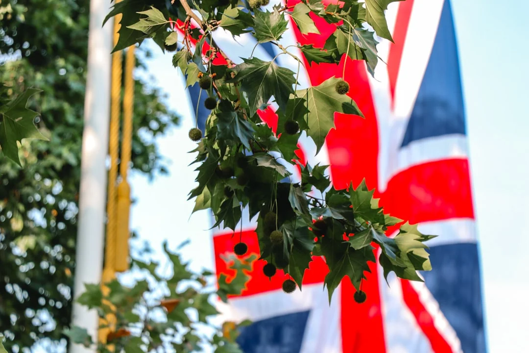 United Kingdom Visa Policy Guide for Travelers