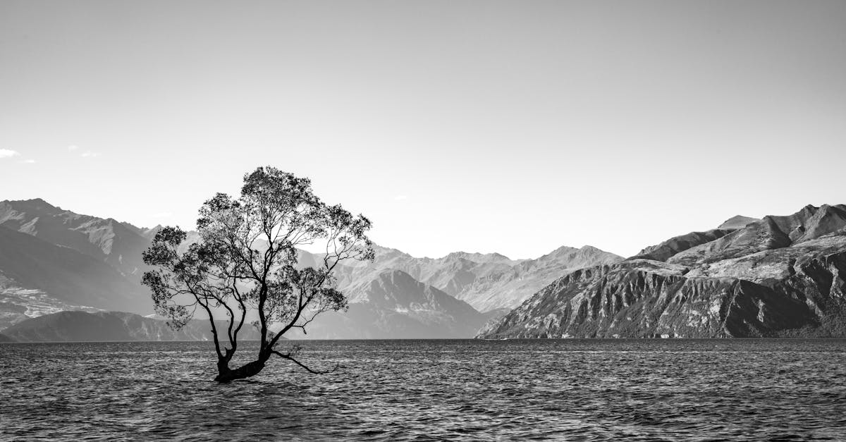 wanaka-travel-guide