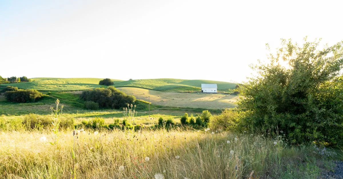 Exploring Washington County on Foot: A Walking Tour Guide