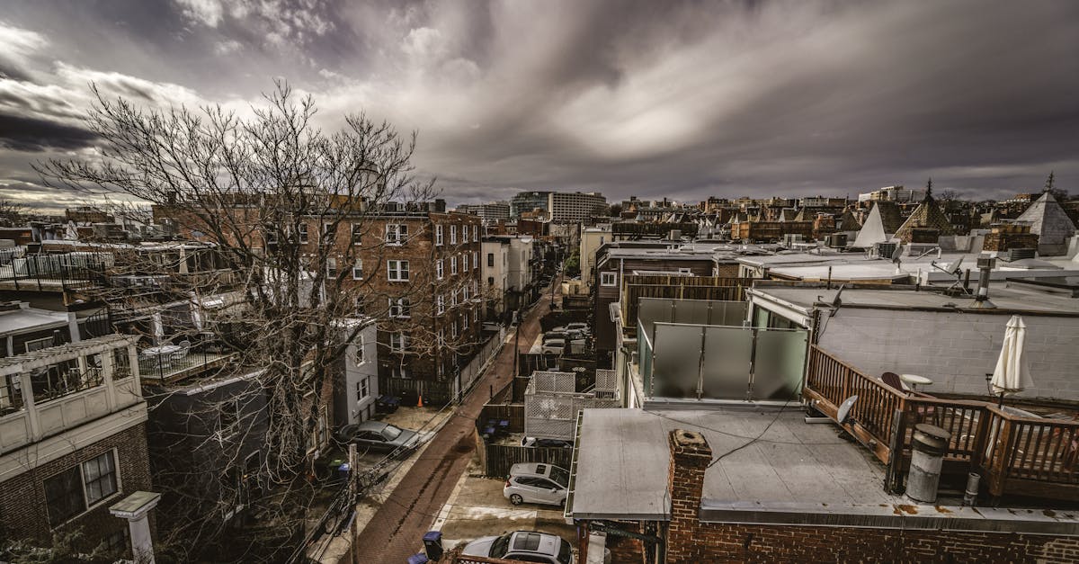 washington-dc-travel-guide