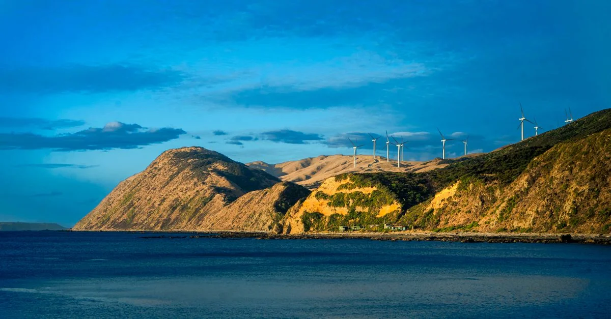 Exploring Wellington Region on Foot: A Walk Through New Zealand’s Capital