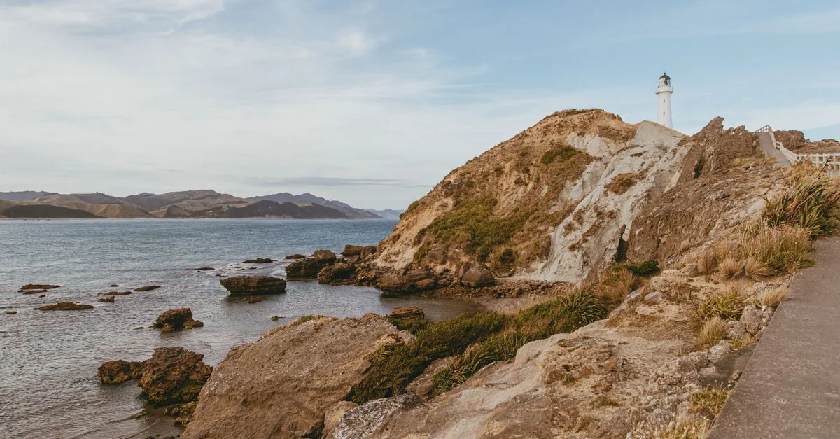 Exploring Wellington Region on Foot: A Walk Through New Zealand’s Capital
