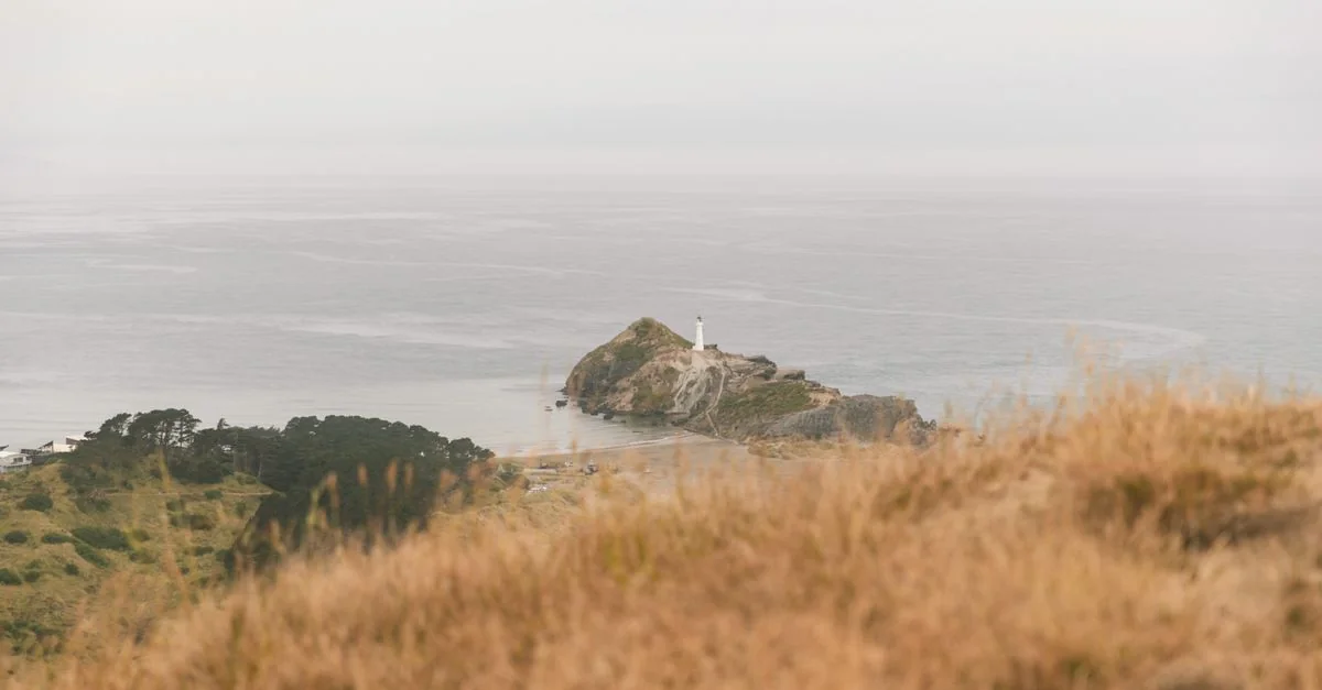 Exploring Wellington Region on Foot: A Walk Through New Zealand’s Capital