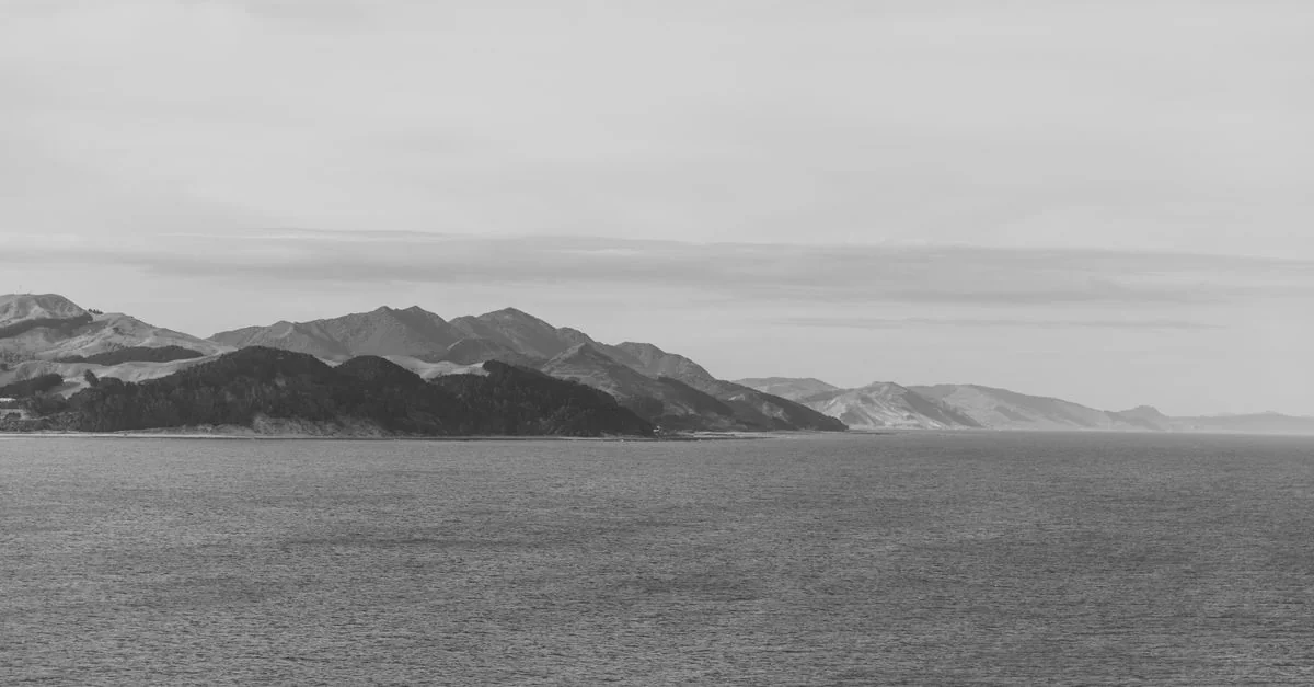 Exploring Wellington Region on Foot: A Walk Through New Zealand’s Capital