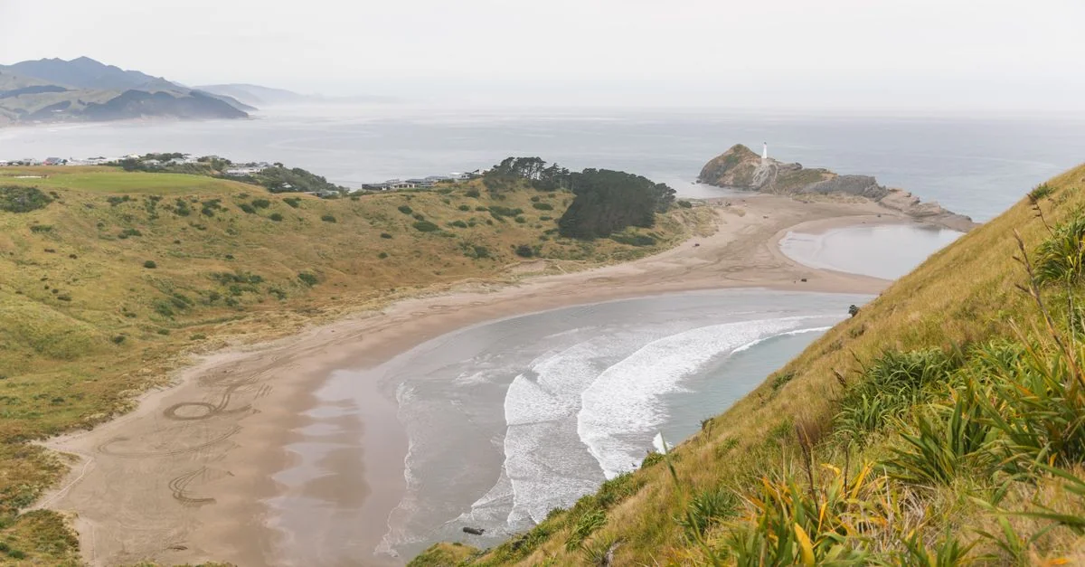 Exploring Wellington Region on Foot: A Walk Through New Zealand’s Capital