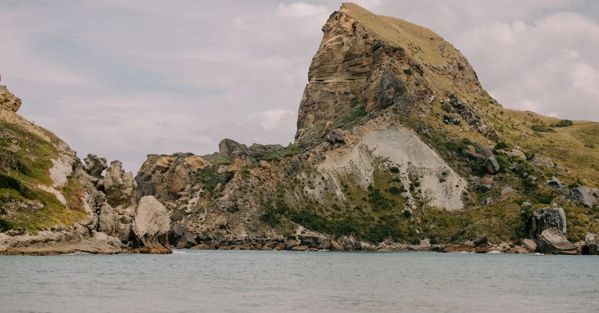 Exploring Wellington Region on Foot: A Walk Through New Zealand’s Capital