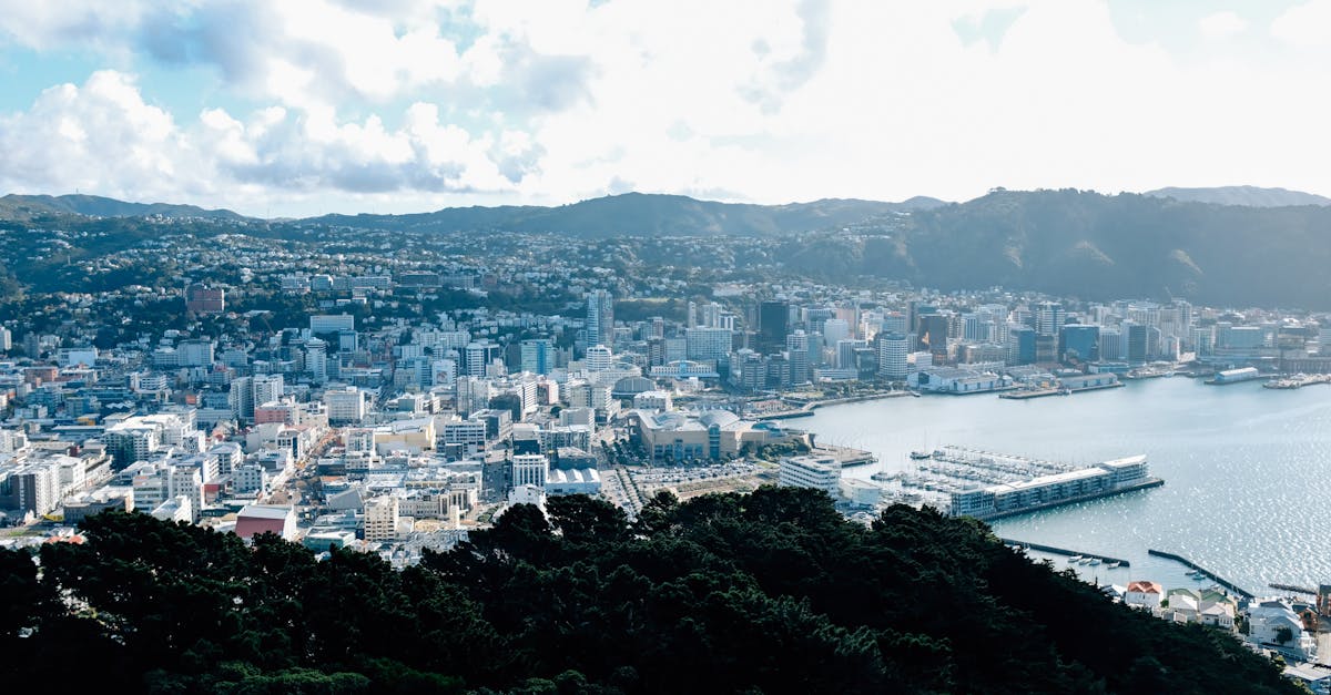 wellington-travel-guide