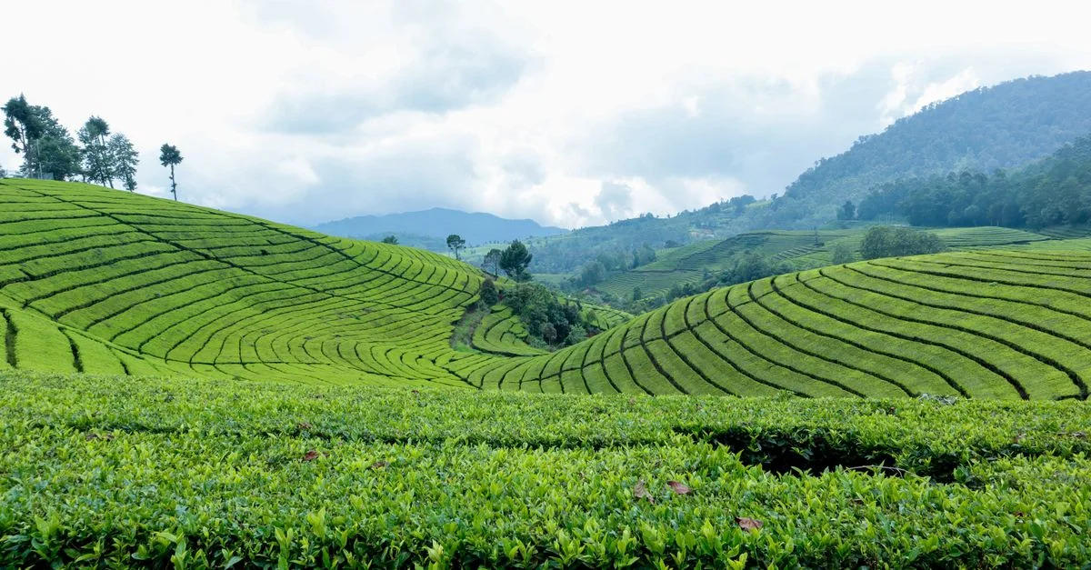 West Manggarai Regency Multi-Day Tours: A Practical Guide for Independent Travelers