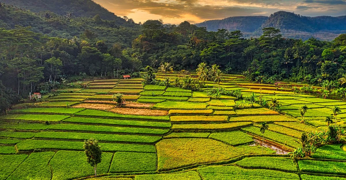 West Manggarai Regency Multi-Day Tours: A Practical Guide for Independent Travelers