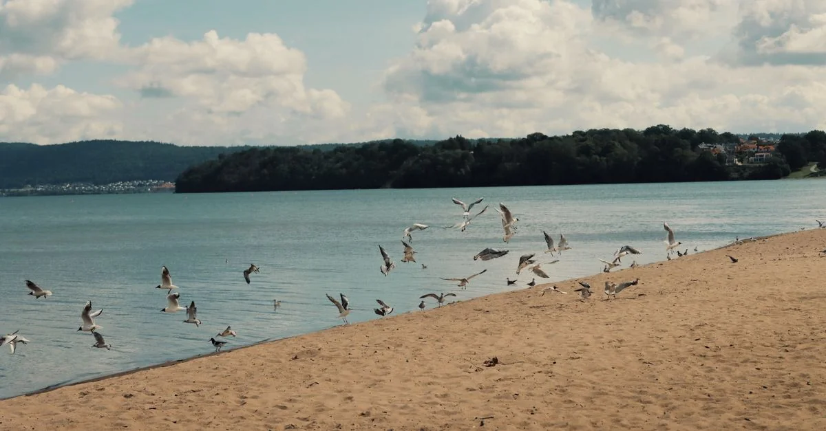 Westchester County Walking Guide: Two Essential Self-Guided Scavenger Hunts