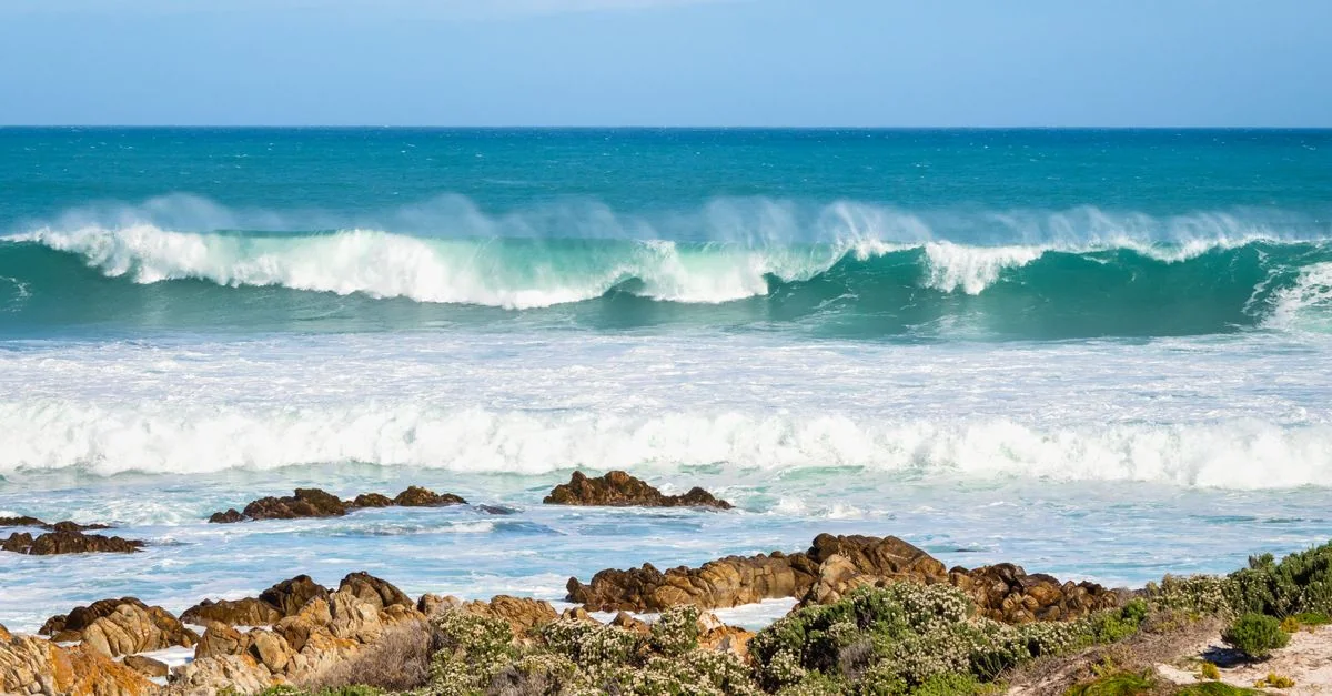 Photography Tours in Western Cape: Best Photo Walks and Workshops