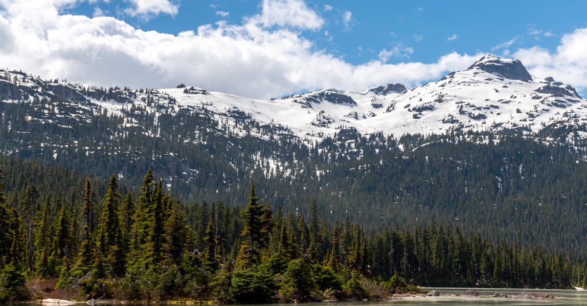 whistler-travel-guide