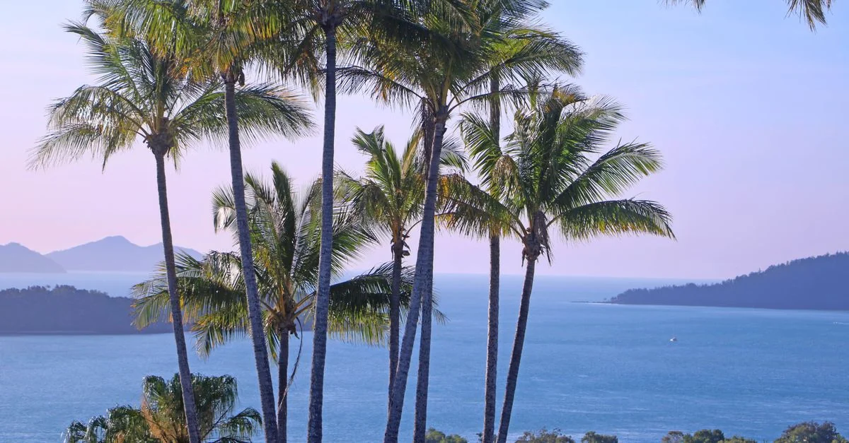 Best Cruise Tours in Whitsunday